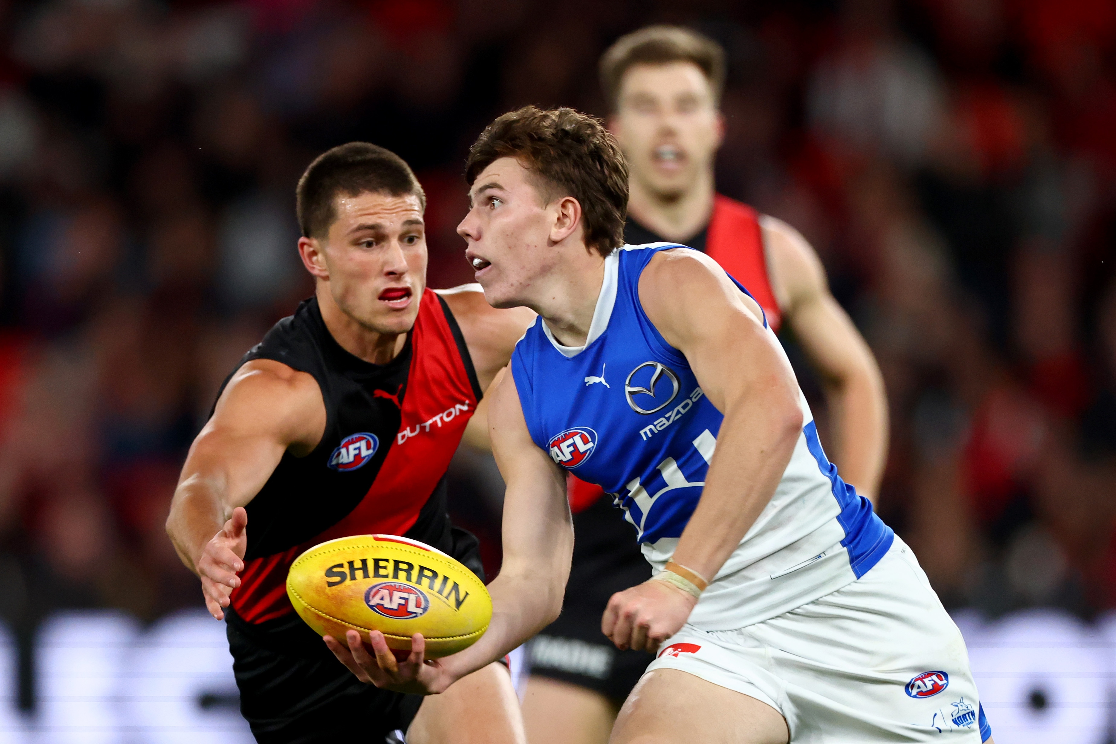 AFL R3 match preview: Roos, Dons primed for heated battle