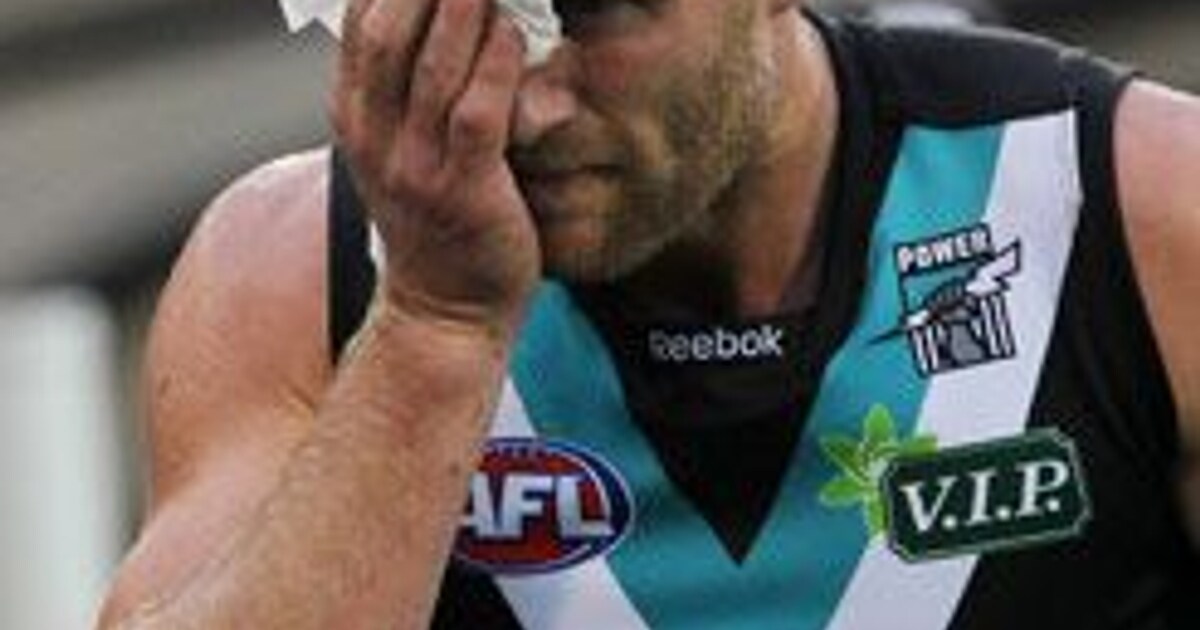 Enemy Territory Schulz to return?